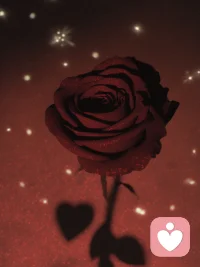 不用赢过任何人也能过得很好配图