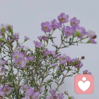 别人的嘴，决定不了你的人生。

我曾因为一条评论失眠：“你写的东西太鸡汤，没深度。”
那几天我反复修改风格，结果越改越不像自己，数据也更差。

后来读到荣格的一句话：“你生命中最重要的一段关系，是你与自己的关系。”

别人评价你，往往基于他们的经历、偏见和需求，而不是你的真相。

杨绛先生96岁时写道：“世界是自己的，与他人毫无关系。”

学会“选择性耳聋”——

善意的建议，收下；
无端的指责，左耳进右耳出。

你的生活，不需要全民投票。配图