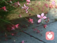 我想要的是：情绪更稳的自己，关系更好的生活，不再彼此消耗的相处模式。

我不想再透支自己去成全别人，也不想再用为了你好来绑架自己。

我要一边生活，一边把自己慢慢养回来，让每一天都是可持续的，而不是用力过猛后的崩溃。

如果你也在这条路上，我们可以一起走，不完美，但真实。配图