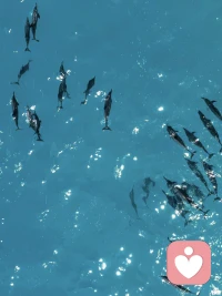 总是害怕冲突的人，说明在童年压抑了攻击性配图