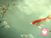 一个人最顶级的福报：不着相

撕掉所有标签，世界才会以本来面目呈现。不着相的关键，就是转念，打破外界标签禁锢自身的一切，只看事物的最本质。车，仅仅是个代步工具，没有高低贵贱之分，把自己从那些虚荣、虚伪、虚妄中彻底挣脱出来，活得简单而通透。

不要活在他人的眼里，不要困于任何给你画的相，要把“别人在说我”变成“别人在说他们眼中的我”，要把所有的关系看轻，把自己的身心看重。凡所有相，皆为虚妄，让自己活得简单纯粹一点，灯红酒绿，不及一粥一饭。

命由己造，福由自求，真正的幸福，是从心里长出来的。我们执着的表象，其实都是内心的投射。不要执着于外界的一切，要去自在地观心。记住，别人的眼和嘴，皆是别人的业。自己不着相，凡所自然皆是馈赠，凡所发生皆为渡我。配图