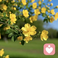 不要到处诉苦，诉苦的本质是，重复苦，加重苦，不要一遍遍去说负能量的东西，让自己觉得真苦，不要期待别人拯救你配图