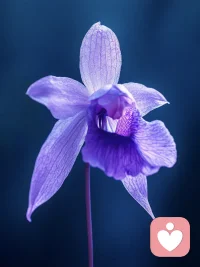 向内扎根，自会向上生长配图