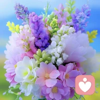 晚开的花，虽然比别人开得晚，但绽放时，也会有属于自己的独特光彩配图