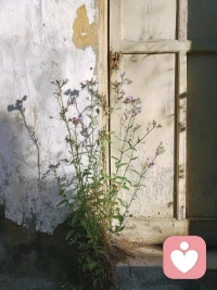 能控制住自己嘴巴的人都很厉害，不管是吃饭还是说话。配图