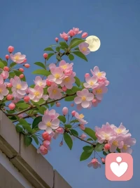 相信人生中的一切都会以最适合你的方式发生。接纳每一个瞬间，美好的、破碎的、未完成的。相信即使在混乱之中，生命也自有其运行之道。配图