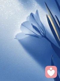 允许自己像一块被晒暖的石头，什么也不用证明。配图