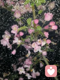 人，不要长期住在太差的房子里

人，不能长期住在太差的房子里，灵魂是需要有滋养场的。不要去将就，不要总想着凑合，长期的将就和凑合，会彻底磨灭人真正的需求，压抑灵魂。这辈子从未畅快过，何尝不是人生惨剧。

有些房子，本身就差，黑暗闭塞，光不透，风不畅，越住越压抑，身心都生病，这时候就要有魄力，换个环境，换条命。很多病痛，因环境而生，环境变了，病会自愈，不要懒，不要怕麻烦，因为改环境，有时候就是改命。

有些房子，差的不是房子，而是人。人是要先爱房子的，去装点，去更改，去捯饬成自己舒服的样子，回到那个地方，可安然入睡，可全身心放松，可灵魂自由。房子无需奢华，只需简单、干净、明亮，房子如此，人亦如此。配图