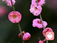 不要共情任何不是你阶层的人，当你把一个人带到不属于他的高度，他的愚昧无知会毁了很多人，你们也会反目成仇！配图