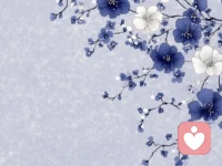 你一定要改掉的四大毛病：轻易的掏心掏肺，没有原则的善良，一错再错的忍让，毫无底线的心软配图