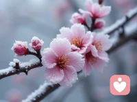 当别人无法控制你，他们就想尽办法贬低你、打压你；你想知道到底是谁控制了你，那就看看谁是你不敢批评的人配图