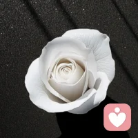 学会设立边界，保护自己不受伤害

真正的强者，懂得设立健康的界限。

你不需要让每个人都满意，也不需要事事迎合他人。

要学会在自己和他人之间划定清晰的界限，

让别人知道，你的尊严和自我需要被尊重。

方法：在需要时学会说“不”，并且给自己建立规则。

你可以根据，对方与事情的重要性，选择策略——

对于无关紧要的人和事，选择物理远离或信息隔离（战略性沉默）。


对于重要关系或场合，选择平静陈述我的感受和底线（建设性对峙）。


这种边界感的建立，可以帮助你避免与他人产生不必要的冲突，同时保护你的心理空间。