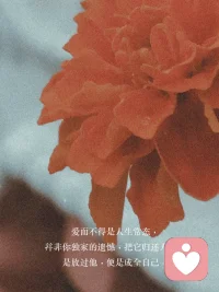 当你结婚越久，就会发现：老公总打压你，是因为你处于下位；你要学会非暴力沟通：不攻击自己、也不攻击对方，还坚定地站在自己的立场之上配图