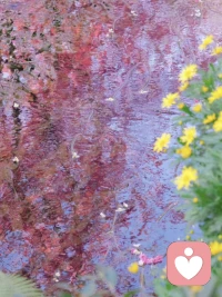 错过一些人，是上天在帮你。配图