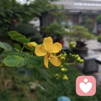 不要让你的筹码只剩下老实和善良；能轻易失去的东西，谈不上有多遗憾；你应该反思的是自己的眼光，而不是自己的善良配图