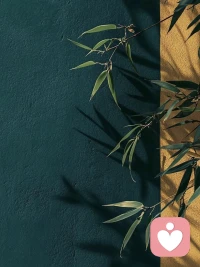 真正压垮一个孩子的，不是成绩，不是贫穷，而是无休止的家庭内耗配图