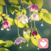 别人的恶意大多数和你无关


很多人在面对他人的恶意时，都会产生一种错觉：

“是不是我做错了什么？”

“是不是我真的不够好？”

“我是不是该改正自己？”

你可能会陷入这些自我怀疑的思维里，一遍遍地问自己：

“他们说得对吗？是不是我确实不够努力、不够好、不够聪明？”

然而，事实上，别人的恶意其实和你是没有直接关系的。

它只是他们的情绪反应，不代表你就需要接收和消化这些恶意。

你并不需要因为别人的否定而改变自己，更不需要让他们的情绪主导你的人生。

其实恶意背后，藏着这4个很典型的心理现象——

1）别人的恶意只是他们的投射

很多时候，他人的恶意是他们自己内心不安和痛苦的投射。

这些恶意并不是对你的真实评价，而是他们将自己的焦虑、不满、恐惧等情绪投射到了你身上。

比如：

一些批评可能是对方自己的无力感的反应，他们通过贬低别人来掩盖自己的不安全感。

一些恶意评论，背后隐藏的是他们自己的失败感或嫉妒心，而这和你没有任何关系。

你要意识到，别人的话语，并不等于你的价值。

他们对你的批评，不是你真实的写照，而只是他们对世界的一种反映。配图