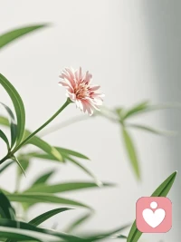 过年，不要轻易请人到家里吃饭

家人的感受，永远比你的面子重要。过年，不要轻易请人到家里吃饭，不是所有人都值得你掏心掏肺，不要自己劳心劳力，别人还挑肥拣瘦。家，是灵魂的滋养场，和谐比显摆重要，小家安乐，比一群人乱糟糟重要。

过年，人多了，嘴杂了，磁场都是乱的。对任何人都要保持三分警惕，不要觉得都是亲朋好友，就毫无防备，请人回家，请人吃饭，三杯酒下肚，家底都和盘托出。人太过暴露，就会自招祸患，人不懂自保，就难免自毁。

每个小家，都有自己的家运，有自己流动的风水。不要轻易招人进门，更不要人多，酒多，话多，把整个家的磁场，搞得团团黑气。实在想聚，寻个地方，三两好友，不劝酒，不攀比，谈谈笑笑，情不在酒里，在盼彼此更好的心中。配图