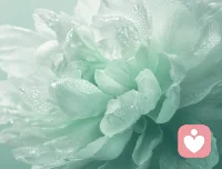 为什么明明你不张扬，还会惹来很多恶意和仇视。那是因为你表现出来的气质里，有安稳、自由坚定、勇敢乐观…这是他们终极一生都难获得的。配图