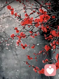 我不要了内耗当场清零，不讨好、不解释、不内耗、不卑微，守住能量， 你越坚定，世界才会柔软；你越自洽，万物皆退让配图