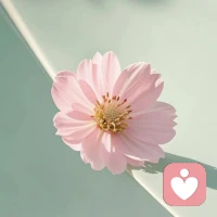 先把目光收回来，从内心开始调整配图