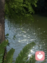 面对恶意，强者的第一个反应并不是回击。

他们知道，在很多情况下，反击并不等于力量的展现。

反而，强者懂得保持冷静，反思自己，理解对方的动机。

他们明白，真正的力量来自于内心的稳定，而不是一时的情绪反应。配图