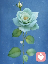 保护能量最好的方式，我不入你的局，不期待你的认可，不畏惧你的否定，当，我不进入你的评价体系，便，无人能掌握我的悲喜配图