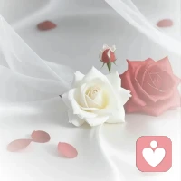 毁掉你的人，从来不会硬抢走你的什么，但他们会骗你把门打开一条缝，所有的得寸进尺，都始于你的第一次妥协配图