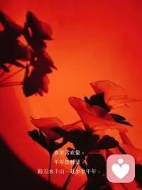 辛苦了，到此为止；很幸运，从此开始配图