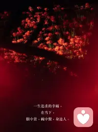 重要的不是取悦别人，而是丰富自己。当你开始不断丰富自己，想要的一切都会到来配图