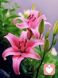 保护自己能量最好的方式，是我不入你的局、不进入你的评价体系；人活一世，千万不要在烂人烂事上纠缠配图