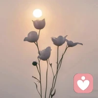 攻击你的人，感受到了你的稳定，不慌乱，你的不在意，他会非常挫败。因为，他再也抓不到你情绪的波动，无法用攻击来拿捏和左右你的情绪配图