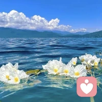 永远吵不赢一个满脑子都是正确答案的人配图