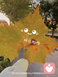 我做过最好的事情就是:不再告诉所有人，我的生活中发生了什么，我不需要向任何人解释，我的沉默是我的武器，我的隐私是我的堡垒配图