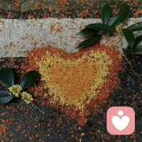 心脏是一座有两间卧室的房子，一间住着痛苦，另一间住着欢乐，人不能笑得太响。否则笑声会吵醒隔壁房间的痛苦配图