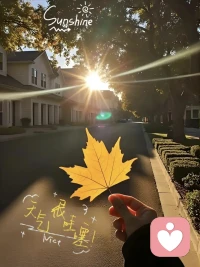 第一感觉不对，要马上静下来

不要硬着头皮，去做任何事，累了，不舒服了，心里不好受了，都是身体的本能预警，越坚持，越纠结，对自身的伤害就越大。人，某种程度上，要相信自己的直觉，第一感觉不对了，马上静下来，什么都别做，静观其变，尽可能把自己划在一个相对安全的范围，这是一种高敏感、高清醒、高纬度的自保。

第一感觉，是身体的一种能量，先于大脑的思考，基于人趋利避害的本能。第一感觉不对，往往是自身总体能量的一种自我反馈。心跳加速，胃部空虚、情绪压抑，这些不太好的反馈，本身就是在告诉你，停下来，把目光收回来，先顾自己。人是活在感受里的，不违背自我感受，是对自己的基本尊重。

不要怕直觉出错，错了，就错了，你遵循的是本能。静下来，反思自己的直觉，扩展认知。直觉出错，本身就是一种认知扩展的契机。尊重感受，是灵性使然，不依赖感受，是理智进阶，前者自保，后者进步，化成一个更幸运、更优秀、更鲜活的你。配图