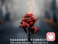 成年人的绝交，约不出来就是答案

人要允许，任何一段关系，悄然而逝。不必遗憾，不必痛心，要学会尊重时间和命运的自然筛选，不必去强留任何人。成年人的绝交，约不出来就是答案。你兴旺，他落魄，他未必想见你。你差点，他好点，多次不理你，自己就要明白。有时候，更简单，就是大家都累了，懒得维持了。

每个人心里都有分级，你认为的关系好，只是你认为。你借给他钱，帮他忙，为他跑前跑后，甚至冲锋陷阵，收拾烂摊子，他未必感恩。人性的幽暗是，你对他越好，越映衬出他的落魄，他反而不盼着你好。约不出来，是他的答案，更是资源的重新匹配，好配好，差配差，各有人生。

有些人，别人坑他，他亲近，你帮他，他反目。世事无常，要允许自己被辜负，也要清醒地去做筛选，他不回，你也不要问，更不要去追着要一个原因和结果。有些人情，没必要说明白，有些关系，无需告别，聚散本是人生常态，你我皆不会例外。配图