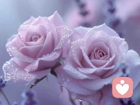 不要回应那些恶意能量，让他随时间流逝，回应就是与之纠缠，纠缠就会受其损耗……配图