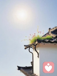 一个家最怕：父怂、母怨、儿戚戚然

父怂，就是但凡遇到事，出头的、抗事的从来不是父亲。他永远一副沉默寡言的老实人模样，看上去事事隐忍，脾气好，可其实，自私又软弱。阿德勒写道：“父亲的职责是建立孩子的价值感，让孩子相信‘我能行、我重要、我可以为社会做贡献’”。一个父怂，拆了孩子的底，让他永失安全感。

父怂，则母怨。因为母亲被逼着去争去吵，去承担，风受多了，脸自然就多了纹；雨淋多了，活得自然狼狈；无人相护，太苦太累，心中自然生怨；家人和外人，还要添上一句，脾气不好。母亲是一个家的温度，当母亲的底色是怨恨，孩子的成长，便掺了凉，少了笑。

父怂，则母怨，母怨，则子戚戚然。父不能护，母不能暖，小小的一个孩儿，从小看得最多的是被欺负，听得最多的是，耳边念不完的抱怨，指责谩骂，摔盘子打碗，互相推诿，孩子恨不能把自己藏起来。为人父母，不要让孩子的心，又怕又凉，父要强，母要喜，子才能欣欣然。配图