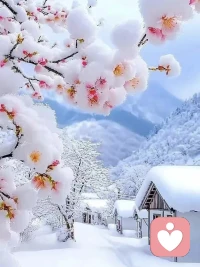 内心足够强大的人，在别人批评你的时候，你能看到他的创伤；在别人讨好你的时候，你能看到他的需要配图