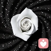 那些故意为之的打压，不过是另一种形式的致敬——你站在光里的样子，让他们看到了自己的影子有多长配图