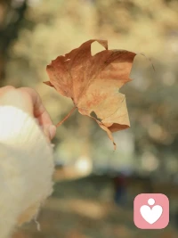 越是狠心删好友、断联系、不吃回头草的人，意志往往越坚定，这叫心理止损，需要足够清醒和果断，早已戒掉了对过去的执念配图