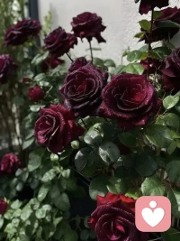 世界越大，痛苦越小，祝我们的人生路都越走越宽阔，找到自己，成为自己，喜欢自己配图