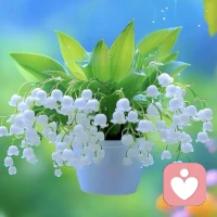 不要在任何关系里讨饭

讨来的饭，不养人。你低三下四求他多看你一眼，他施舍的只有不耐烦。你小心翼翼讨好他，生怕他离开，他只觉得你廉价又好拿捏。捧着碗等别人赏饭吃，碗再满，心里也是空的。因为你知道，这碗饭随时会被收走。

真正好的关系，不用讨。你站在那里，他就愿意走近你。你开口说话，他就愿意听。你沉默不语，他也觉得自在。不用你弯腰，不用你伸手，他自然会把最好的留给你。讨来的热都是假的，求来的在乎是演的。

宁可一个人吃冷饭，也不要在关系里当乞丐。你的心很贵，要给懂得珍惜的人。你的好很贵，要留给双向奔赴的人。别把乞讨当诚意，别把卑微当深情。把手缩回来，把自己的日子过热了，自然会有人端饭给你。配图