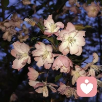 一个人的认知层次越低，攻击性就越强；容易情绪化和犟是这类人的典型特征；尊重井底之蛙和那口井；道不同不相为谋配图