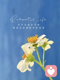 我喜欢，就是大大的事

亦舒写道：“人生短短数十载，最要紧的是满足自己，不是讨好他人”。衣服好不好看，草莓贵不贵，别人的定论，并不重要，重要的你自己，有没有能力负担。能力范围内，我喜欢，就是大大的事。至于别人觉得你值不值，配不配，都是别人的事，你对于你自己而言，就是一切，也值得一切。

“我喜欢这样的自己，没有很好，也没关系”，不要傻傻地把自己套牢在别人的框架里，哪怕是夫妻，哪怕是亲人，都不能把他们的价值观和世界观强加给你。不要因为爱，而慢慢失去自己的喜好，要永远坚持自己的那些小贪恋，小爱好，爱我所爱，行我所行，听从我心，无问西东。

普通人，用尽全力，也不过是过着平凡的一生。对任何事，任何人，都不要太用力，不要被世俗挟裹，多问问自己的心，你自己真正喜欢什么样的生活。花不一定是玫瑰，房子没必要一定在城区，生活是你自己的感受，你喜欢非常非常重要，因为从生到死，一路走过的是你，别人都是背景板。配图