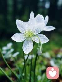 当你开始站起来维护自己的时候，你失去的不过是想占你便宜的人，真正对你好的人是不会因为你维护自己而远离你，只有虚假的关系才会崩塌配图