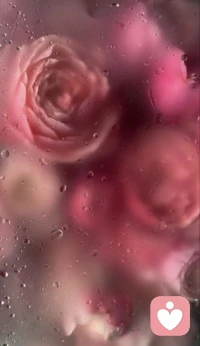 永远不要因为任何人改变自己，因为不健康的关系和错误的人，无论你如何退让与改变，对方永远都有新的指责配图