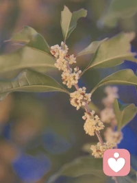 一定要把自己养到顶配，好到任何人靠近你都得先掂量掂量，这不是高傲，是成年人该有的清醒。当你足够珍视自己，生活自会托举你向上配图