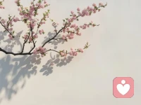 如果我们总是很紧绷，总是习惯性地拒绝别人的帮助，这不是我们有问题，也许只是我们一直处在假性独立里却不自知配图